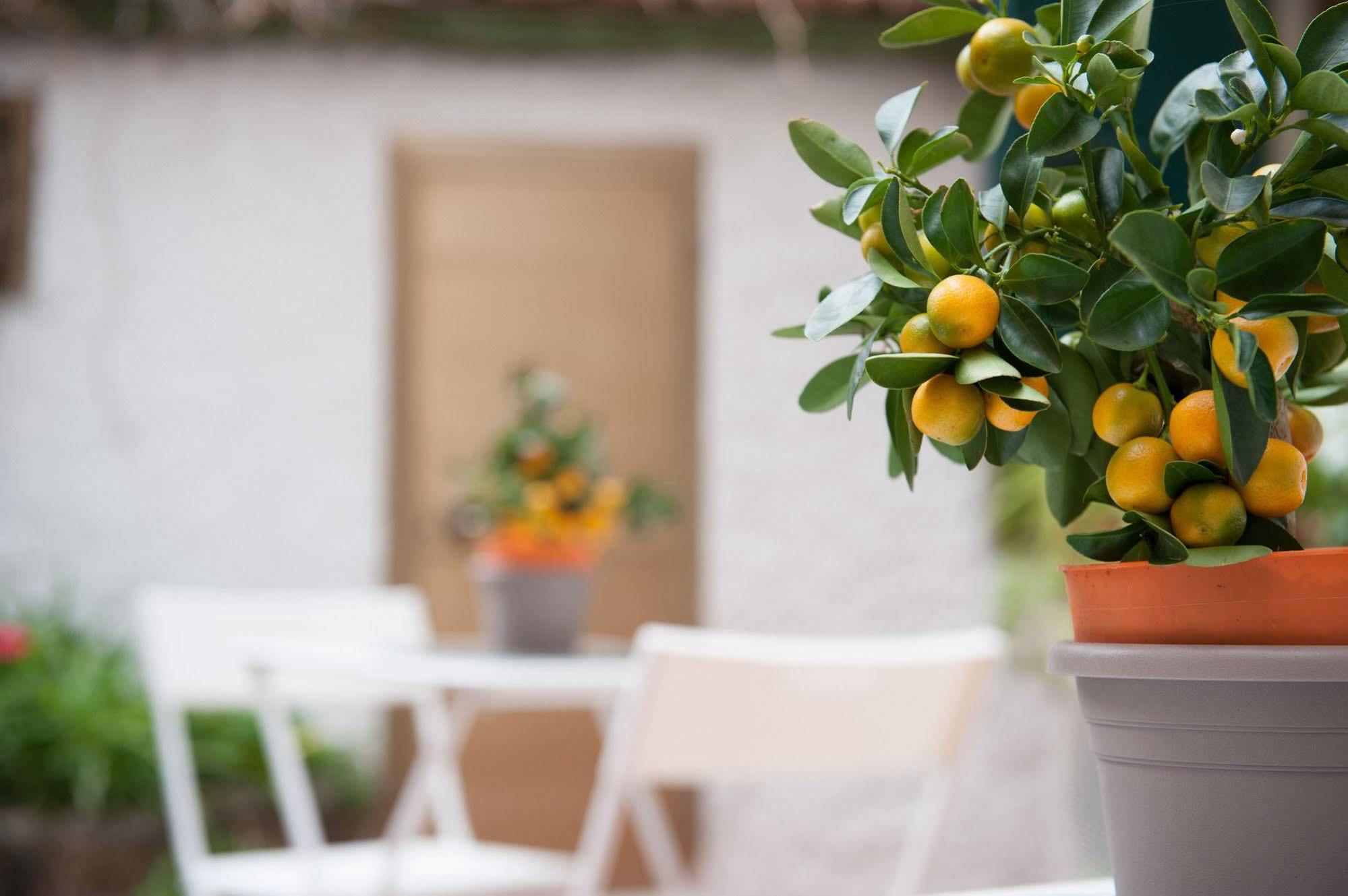 Piccarda Bed And Breakfast Florence Exterior photo